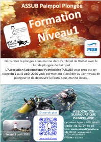 Affiche_stage_N1_paimpol