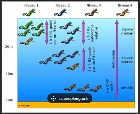 Différents niveaux de plongée